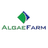 AlgOil