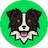 Apollo Inu