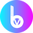BitValley