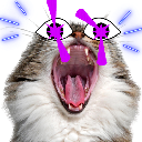 BookOfPussyCats