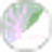 Cabbage