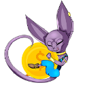 Cat Sphynx