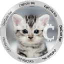 CatCoin Inu