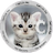 CatCoin Inu