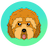 Cockapoo
