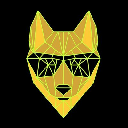 DINGO TOKEN