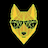 DINGO TOKEN
