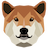 DogeCash