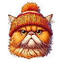 Garfield Wif Hat
