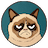 Grumpy Cat