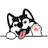 Husky