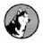 Husky Avax