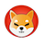 Kilo Shiba Inu