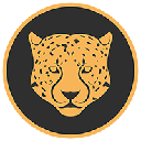 Kitty Kat Coin