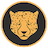 Kitty Kat Coin