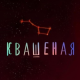 KVASHENAYA