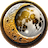 MOON COIN