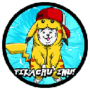 Pikachu Inu