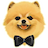 Pomicoin