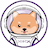 Project DogeX