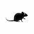 Rat Roulette
