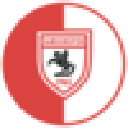 Samsunspor Fan Token