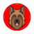 Shepherd Inu