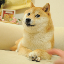 The Doge NFT