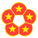 VN Token