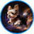 Yorkie Doge