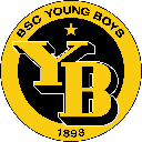 Young Boys Fan Token